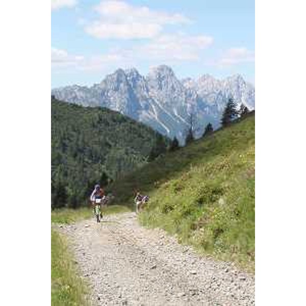 Bikers da Forni Avoltri (Udine) in direzione del Rifugio Marinelli. Foto: Archivio del Corpo forestale regionale - Marco Pradella
