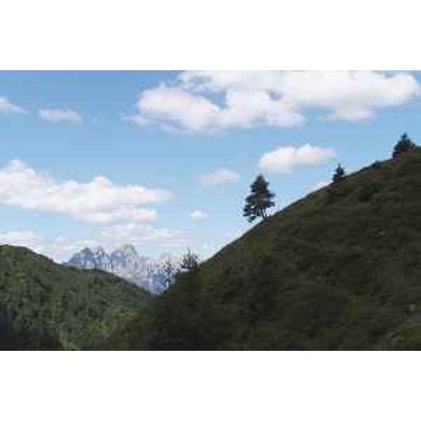 Il Monte Cimon visto da Casera Morareto in comune di Forni Avoltri (Udine). Foto: Archivio del Corpo forestale regionale - Marco Pradella