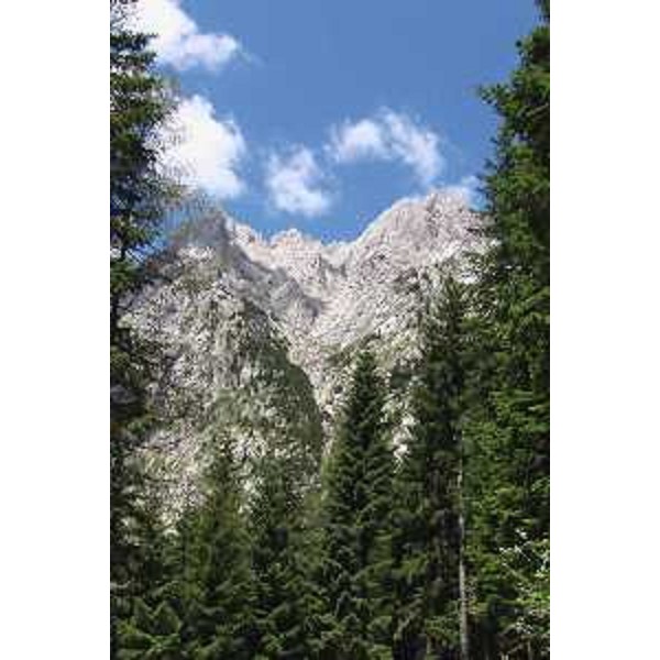 Il Monte Volaia e il Monte Capolago. Foto: Archivio del Corpo forestale regionale - Marco Pradella