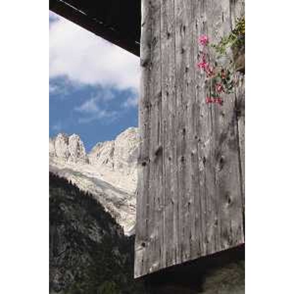 Un rustico a Runch di Collina, Frazione di Forni Avoltri (Udine) e il Monte Coglians sullo sfondo. Foto: Archivio del Corpo forestale regionale - Marco Pradella