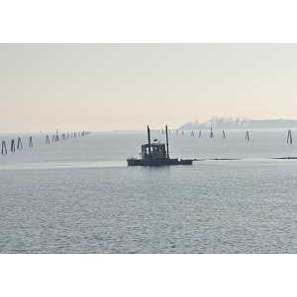 Pontone per la movimentazione e la posa in opera di scogliere e pali in legno per i lavori di dragaggio del canale navigabile dello scalo commerciale di Porto Magreth, nella Zona Industriale dell'Aussa Corno (ZIAC) - 19/12/2015 San Giorgio di Nogaro