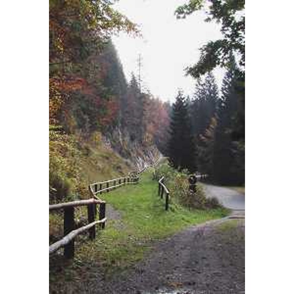 Sentiero del Passo Pura, attrezzato anche per non vedenti, in comune di Ampezzo (Udine). Foto: Archivio del Corpo forestale regionale - Marco Pradella