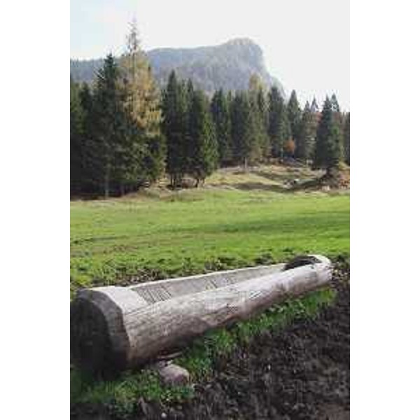 Un abbeveratoio lungo la strada del Passo Pura in comune di Ampezzo (Udine). Foto: Archivio del Corpo forestale regionale - Marco Pradella