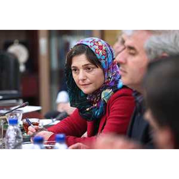 Debora Serracchiani (Presidente Regione Friuli Venezia Giulia) al Tavolo dell'accordo per portare ad Aquileia reperti archeologici del Museo nazionale dell'Iran - Teheran 11/01/2016
