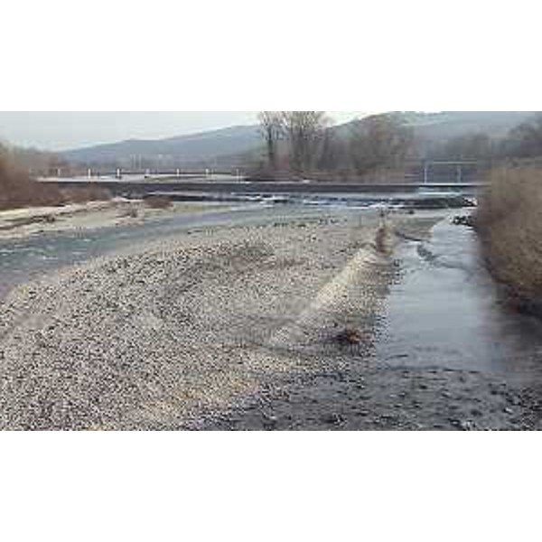 Fiume Isonzo - Sagrado (GO) 25/01/2016