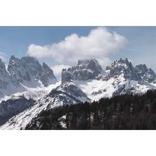 Il Monte Cridola e il Gruppo dei Monfalconi visti dal Monte Varmost, Forni di Sopra (Udine). Foto: Archivio del Corpo forestale regionale - Marco Pradella
