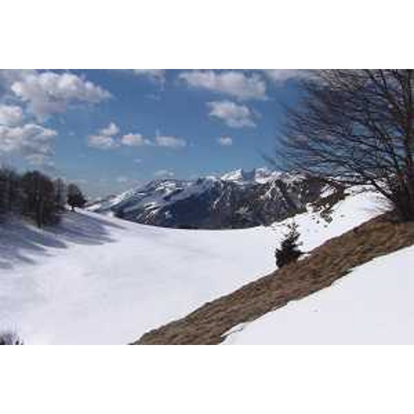Il Monte Cavallo oltre la sella del Monte Jouf. Foto: Archivio del Corpo forestale regionale - Marco Pradella