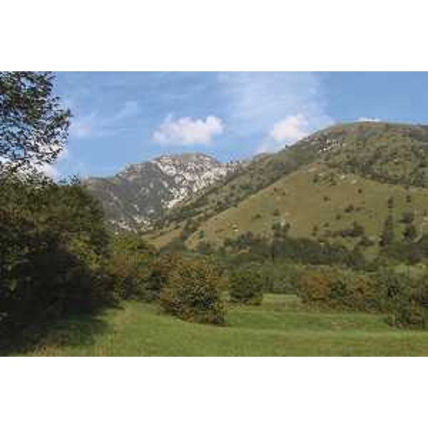 Monte di Mezzo e Zuccul Supigna nei pressi di Montereale Valcellina (Pordenone). Foto: Archivio del Corpo forestale regionale - Marco Pradella