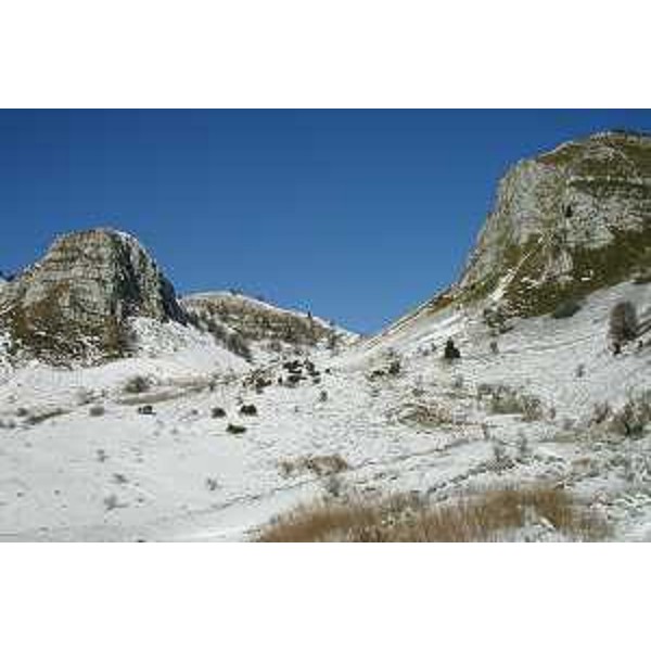 Pala d'Altei e Vallone del Forador. Foto: Archivio del Corpo forestale regionale - Marco Pradella
