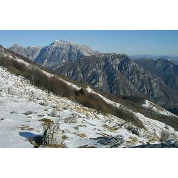 Pendio della Pala d'Altei con il Monte Fara e il Monte Raut. Foto: Archivio del Corpo forestale regionale - Marco Pradella