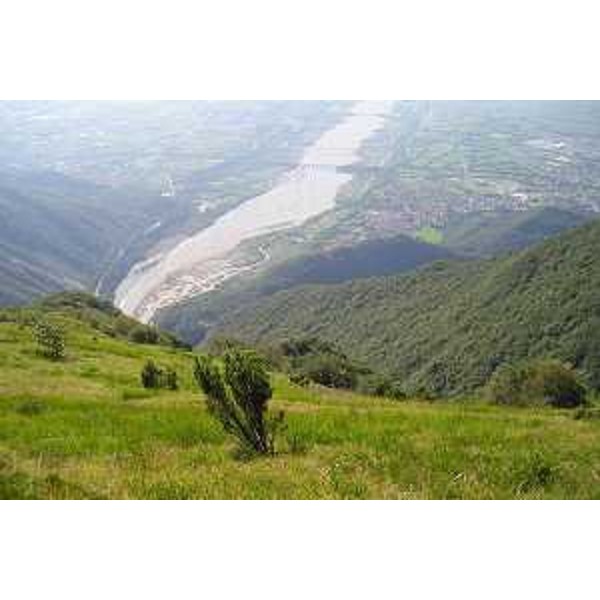 Il Torrente Cellina allo sbocco in pianura, visto dal Monte Fara. Foto: Archivio del Corpo forestale regionale - Marco Pradella