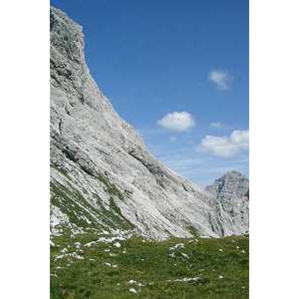 La parete Est del Monte Duranno e la Cima Laste. Foto: Archivio del Corpo forestale regionale - Marco Pradella