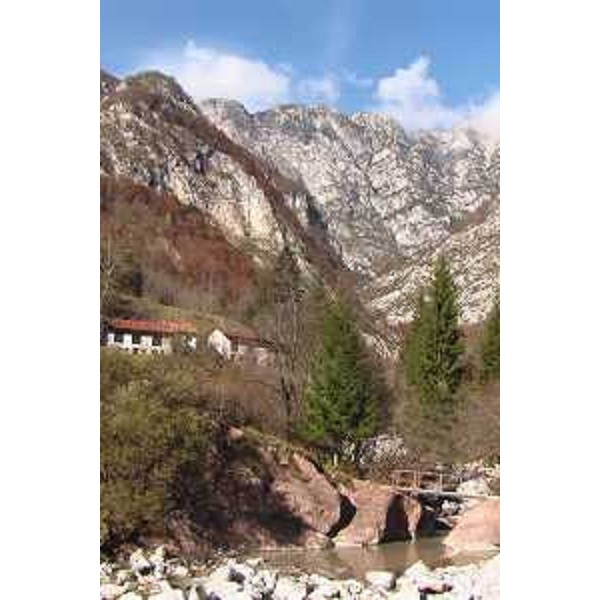 La Val Cellina a Lesis, Frazione di Claut (Pordenone). In primo piano una formazione di scaglia rossa. Foto: Archivio del Corpo forestale regionale - Marco Pradella