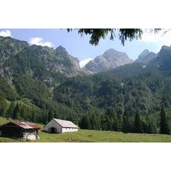 La Malga Senons in Val Settimana e il Monte Caserine Alte sullo sfondo. Foto: Archivio del Corpo forestale regionale - Marco Pradella