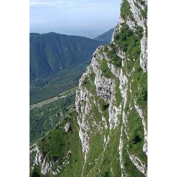 La Val Colvera e il Monte Jouf visti dal Monte Raut. Foto: Archivio del Corpo forestale regionale - Marco Pradella