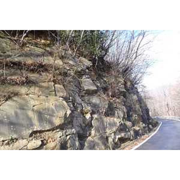 Viabilità comunale Canal di Grivò – Bocchetta di Sant'Antonio – Bivio Porzus, oggetto di intervento urgente di Protezione civile (realizzazione di opere di bonifica, disgaggio e pulizia delle pendici sovrastanti) nei territori comunali di Faedis e Attimis - 04/03/2016