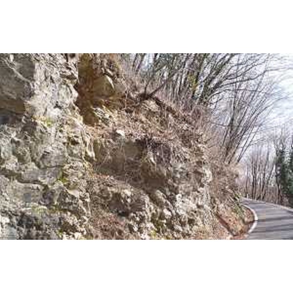 Viabilità comunale Canal di Grivò – Bocchetta di Sant'Antonio – Bivio Porzus, oggetto di intervento urgente di Protezione civile (realizzazione di opere di bonifica, disgaggio e pulizia delle pendici sovrastanti) nei territori comunali di Faedis e Attimis - 04/03/2016