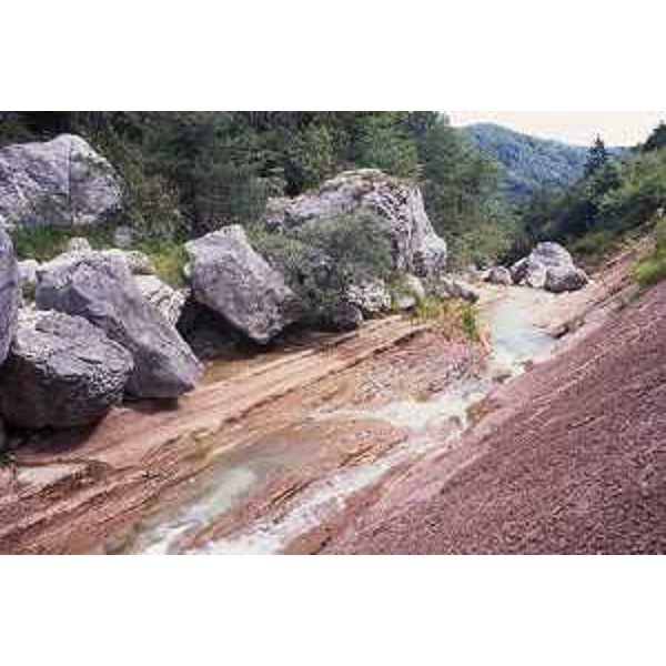 Val Colvera: formazione di scaglia rossa in "faglia periadriatica". Foto: Archivio del Corpo forestale regionale - Marco Pradella