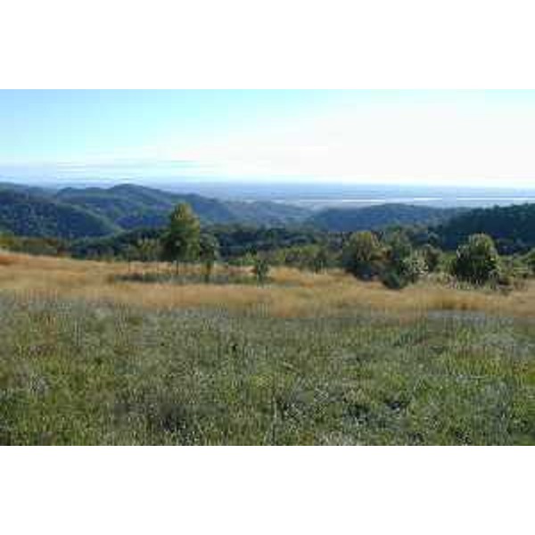 La Val Cosa e i Colli di Castelnuovo del Friuli (Pordenone) visti dal Monte Ciaurlec. Foto: Archivio del Corpo forestale regionale - Marco Pradella 