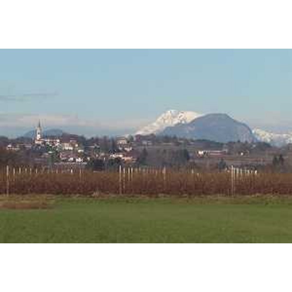 Villalta di Fagagna (Udine) e, sullo sfondo, il Monte San Simeone e il Monte Amariana innevato. Foto: Archivio del Corpo forestale regionale - Marco Pradella