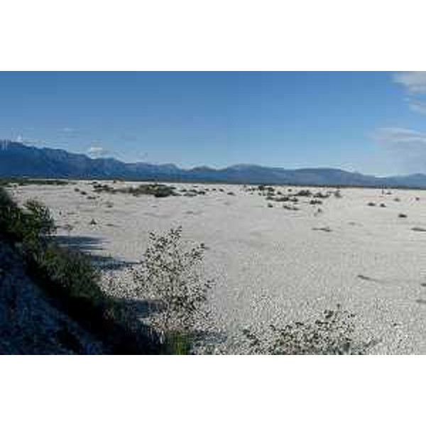 Il greto del Torrente Cellina a San Foca di San Quirino (Pordenone) e, sullo sfondo, la dorsale del Monte Raut e il Monte Ciaurlec. Foto: Archivio del Corpo forestale regionale - Marco Pradella