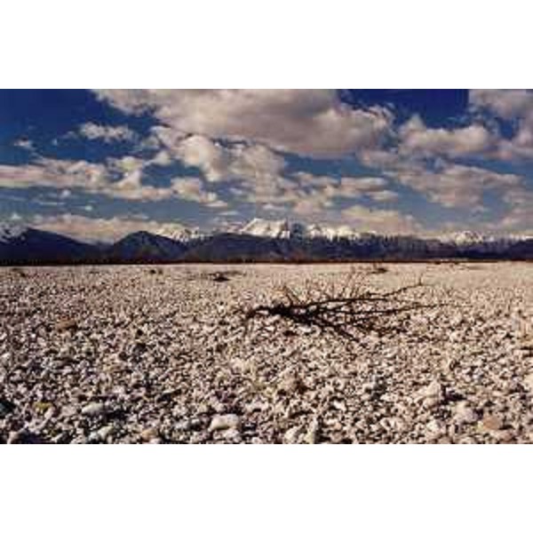 Il greto del Torrente Cellina in comune di Cordenons (Pordenone) e il Monte Raut sullo sfondo. Foto: Archivio del Corpo forestale regionale - Antonio Cordenons