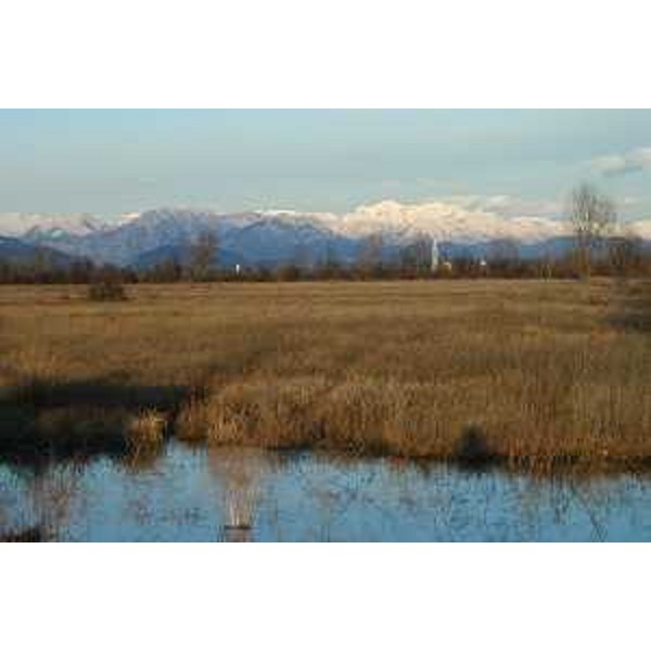 Magredo nei paraggi di Vivaro e Tesis (Pordenone) e, sullo sfondo, i due Paesi e il Monte Canin. Foto: Archivio del Corpo forestale regionale - Marco Pradella