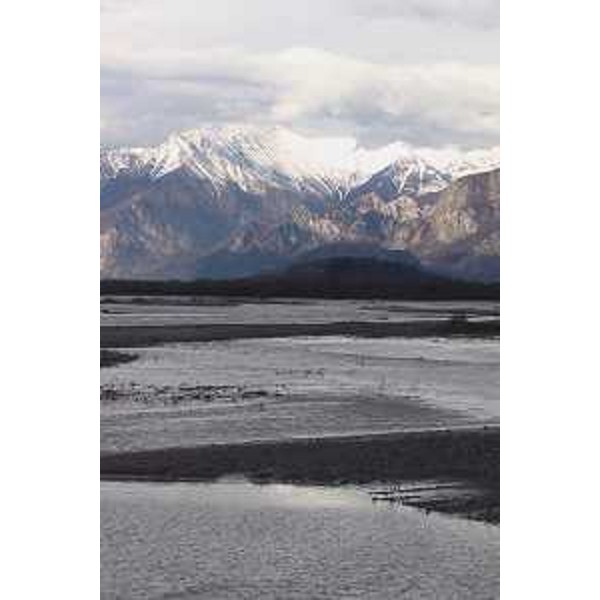 Il Fiume Tagliamento a Cimano, Frazione di San Daniele del Friuli (Udine), e, sullo sfondo, il massiccio del Plauris. Foto: Archivio del Corpo forestale regionale - Marco Pradella