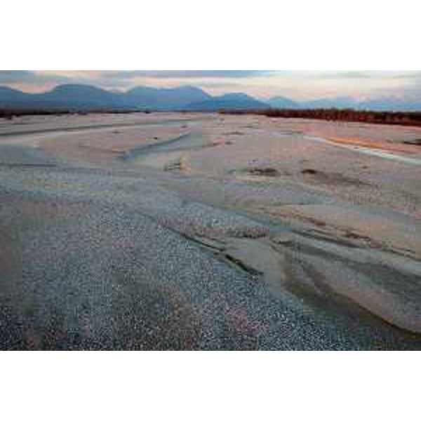 Il greto del Fiume Tagliamento e la sua vegetazione ripariale. Foto: Archivio del Corpo forestale regionale - Stefano Fabian