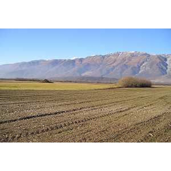Coltivi a Malnisio in comune di Montereale Valcellina (Pordenone) e, sullo sfondo, il Monte Cavallo. Foto: Archivio del Corpo forestale regionale - Marco Pradella