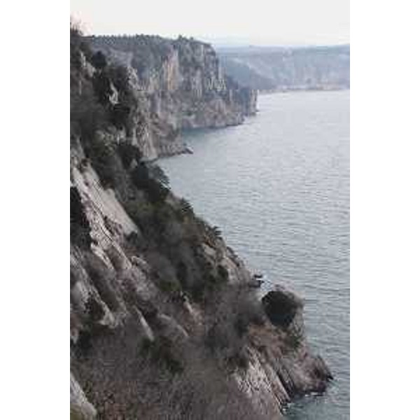 Falesie di Duino. Sentiero Rilke: si sviluppa a picco sul mare tra Sistiana e Duino in comune di Duino Aurisina (Trieste). Foto: Archivio del Corpo forestale regionale - Marco Pradella