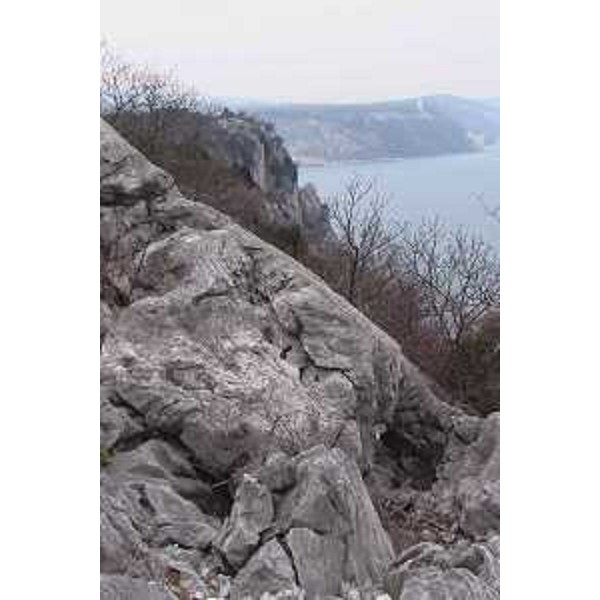 Falesie di Duino. Sentiero Rilke: si sviluppa a picco sul mare tra Sistiana e Duino in comune di Duino Aurisina (Trieste). Foto: Archivio del Corpo forestale regionale - Marco Pradella 