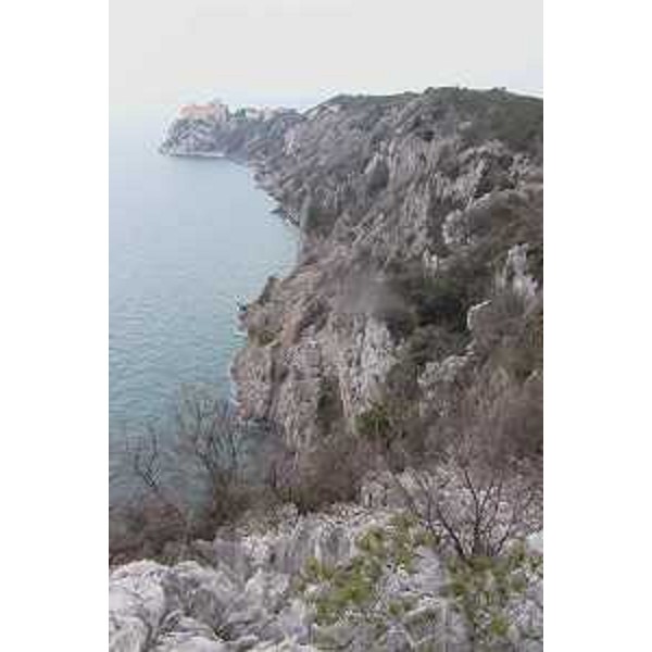 Falesie di Duino. Sentiero Rilke: si sviluppa a picco sul mare tra Sistiana e Duino in comune di Duino Aurisina (Trieste). Foto: Archivio del Corpo forestale regionale - Marco Pradella