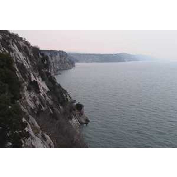 Falesie di Duino. Sentiero Rilke: si sviluppa a picco sul mare tra Sistiana e Duino in comune di Duino Aurisina (Trieste). Foto: Archivio del Corpo forestale regionale - Marco Pradella