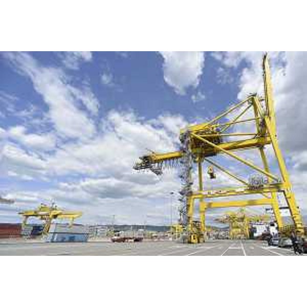 Gru del Molo VII del Porto - Trieste 04/05/2016