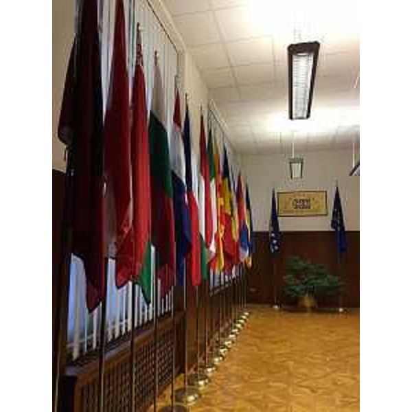 Sede dell'InCE/CEI (Iniziativa Centro Europea/Central European Initiative) in via Genova - Trieste 10/05/2016
