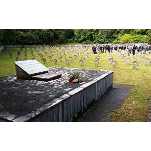 Cerimonia in memoria dei Caduti della Grande Guerra (iniziativa "L'Esercito combatte" organizzata dall'Esercito Italiano) - Cimitero Austroungarico di Prosecco (TS) 24/05/2016