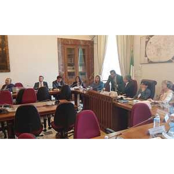 Confronto dedicato alla presentazione dell'emergenza umanitaria di cui è vittima la Comunità Yazidi nel Kurdistan iracheno, alla Camera dei Deputati - Roma 26/05/2016