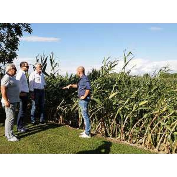 Gli assessori regionali Paolo Panontin (Autonomie locali e Coordinamento Riforme, Protezione civile) e Cristiano Shaurli (Risorse agricole e forestali) durante il sopralluogo per verificare l'entità dei danni provocati dal maltempo - San Giorgio della Richinvelda 09/08/2016