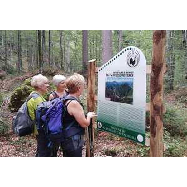Il Sentiero degli Alberi di Risonanza (The Forest Sound Track) inaugurato oggi - Malborghetto-Valbruna 10/09/2016