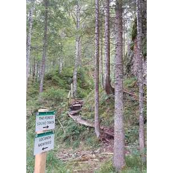 Il Sentiero degli Alberi di Risonanza (The Forest Sound Track) inaugurato oggi - Malborghetto-Valbruna 10/09/2016