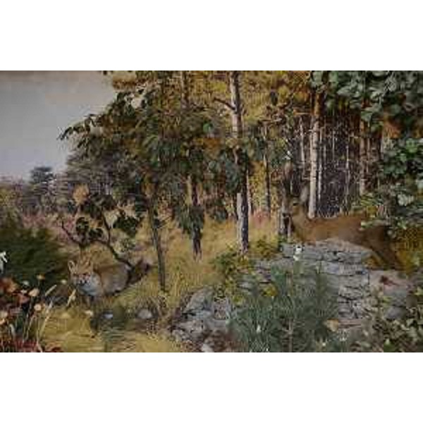 Uno dei diorami del Centro Didattico Naturalistico / CDN - Basovizza (TS) 19/10/2016