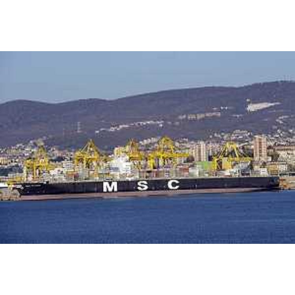 La portacontainer MSC Paloma attraccata al Molo VII del Porto Nuovo - Trieste 15/12/2016