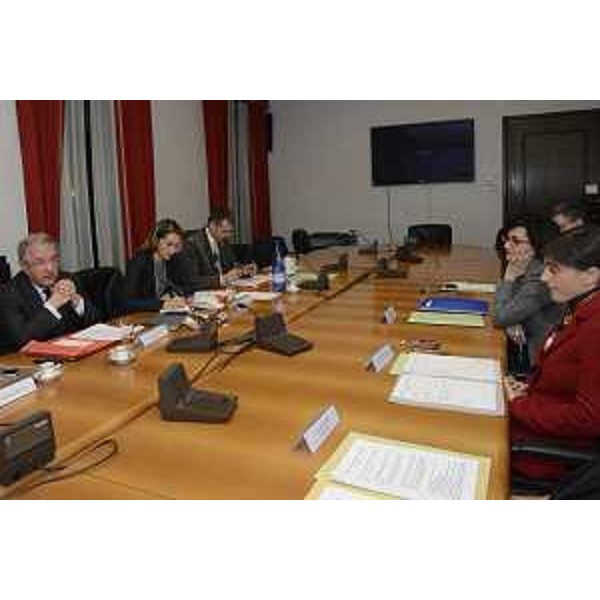 Audizione di Debora Serracchiani (Presidente Regione Friuli Venezia Giulia) e Sara Vito (Assessore regionale Ambiente ed Energia) davanti alla Commissione Industria del Senato presieduta da Massimo Mucchetti - Trieste 19/01/2017