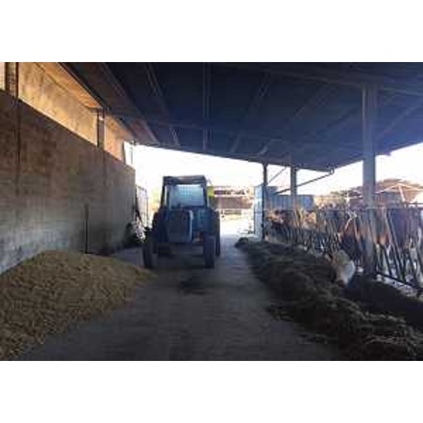L'Azienda agricola Zoff Agriturismo Borg da Ocjs - Borgnano Cormons (GO) 20/01/2017