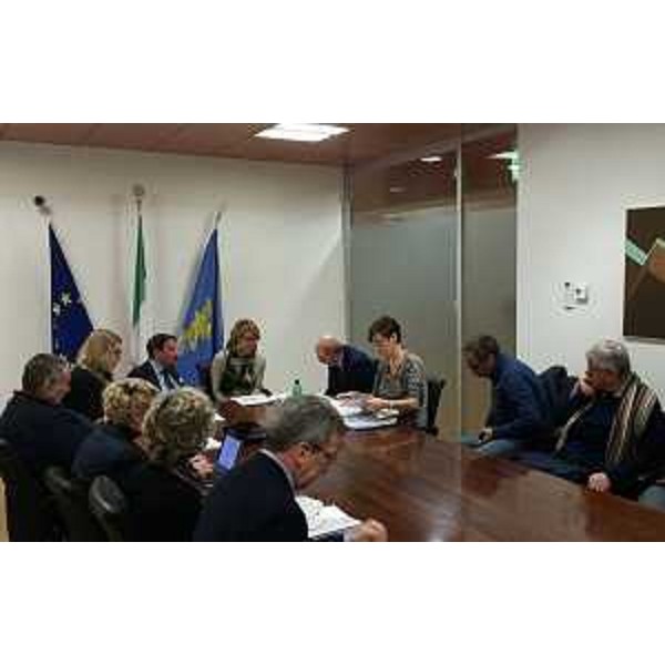 Maria Sandra Telesca (Assessore regionale Salute, Integrazione socio-sanitaria, Politiche sociali e Famiglia) incontra la Consulta regionale delle Associazioni di persone disabili e delle loro famiglie del Friuli Venezia Giulia presieduta da Vincenzo Zoccano - Udine 28/02/2017