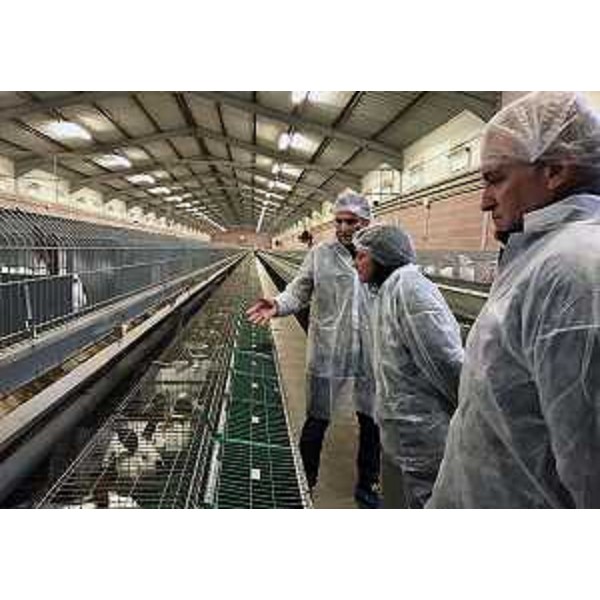 Zeno Roma (Titolare Vecon) accompagna Debora Serracchiani (Presidente Regione Friuli Venezia Giulia) e Dario Ermacora (Presidente Coldiretti FVG) nella visita all'Azienda agricola Vecon - Precenicco (UD) 28/02/2017