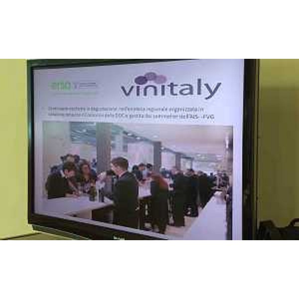Conferenza stampa di presentazione della partecipazione della Regione FVG alla cinquantunesima edizione di Vinitaly, Salone internazionale dei vini e distillati (Verona, 9-12 aprile) - Udine 30/03/2017