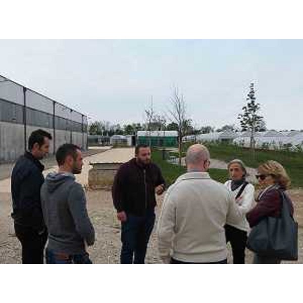 Maria Sandra Telesca (Assessore regionale Salute, Integrazione socio-sanitaria, Politiche sociali e Famiglia) visita la Comunità Salesiana - Associazione La Viarte Onlus - Santa Maria la Longa 14/04/2017