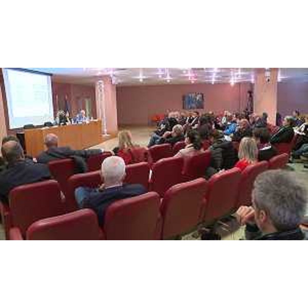 Convegno "Le fibre artificiali vetrose. Aspetti ambientali e sanitari", nell'Auditorium dell'Ospedale San Polo - Monfalcone 20/04/2017